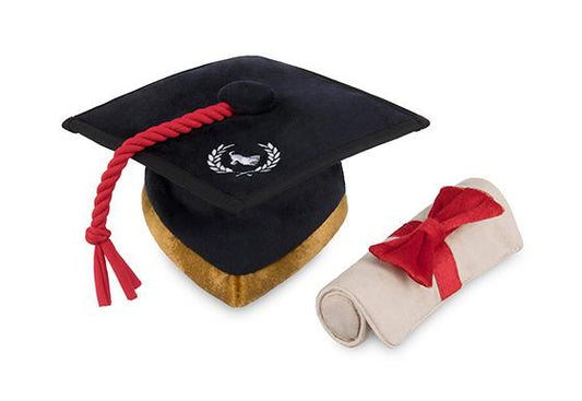 Birrete y diploma de graduación